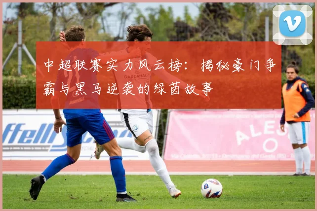 中超联赛实力风云榜：揭秘豪门争霸与黑马逆袭的绿茵故事