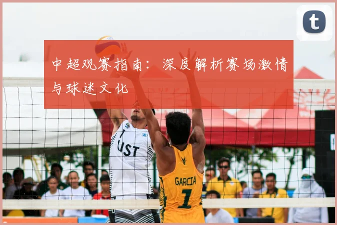 中超观赛指南：深度解析赛场激情与球迷文化