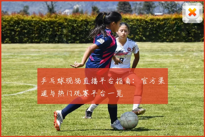 乒乓球现场直播平台指南：官方渠道与热门观赛平台一览